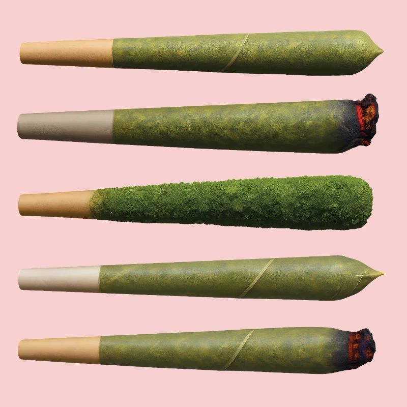 BIO GANJA - freedom & rights