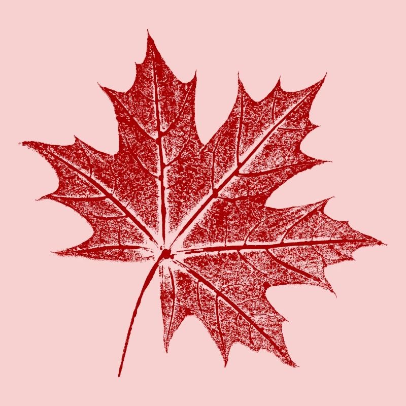 Maple leaf