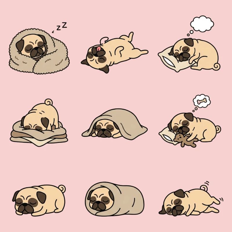 Sleeping Pug Nine Cute Pug Sleeping Poses