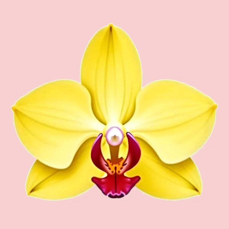 orchid