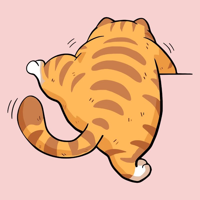 Back view tabby kitten