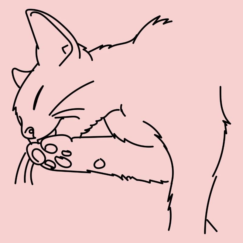 Katze