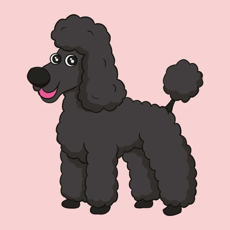 caniche doux