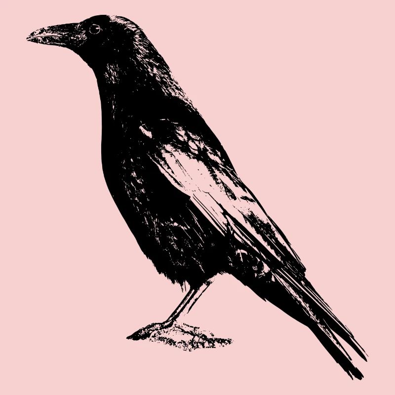 corbeau
