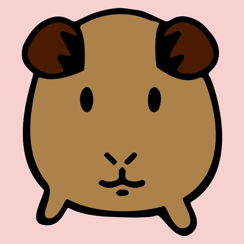 guinea pig
