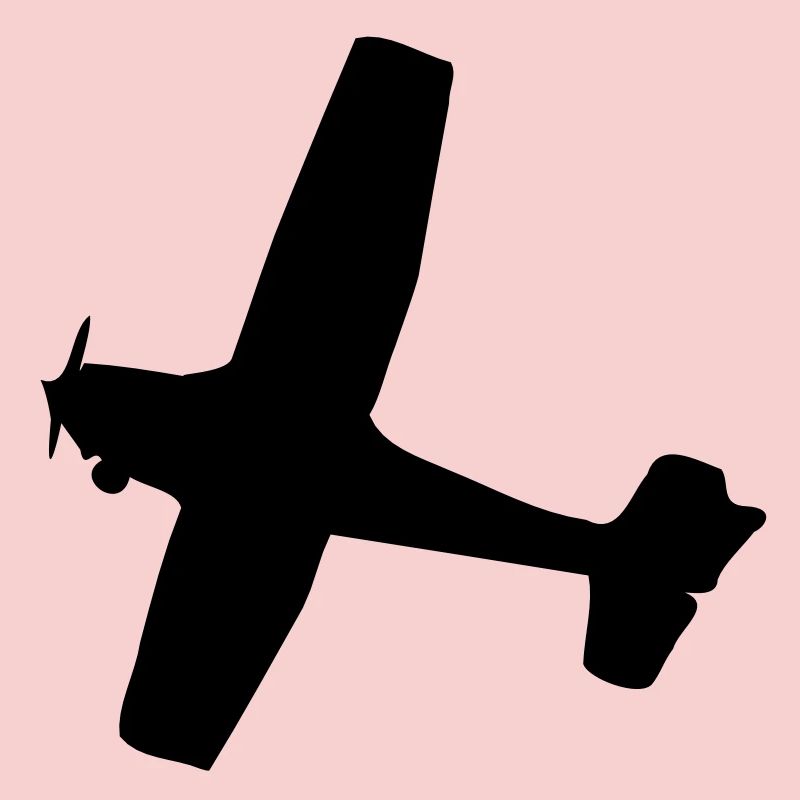 Flugzeug