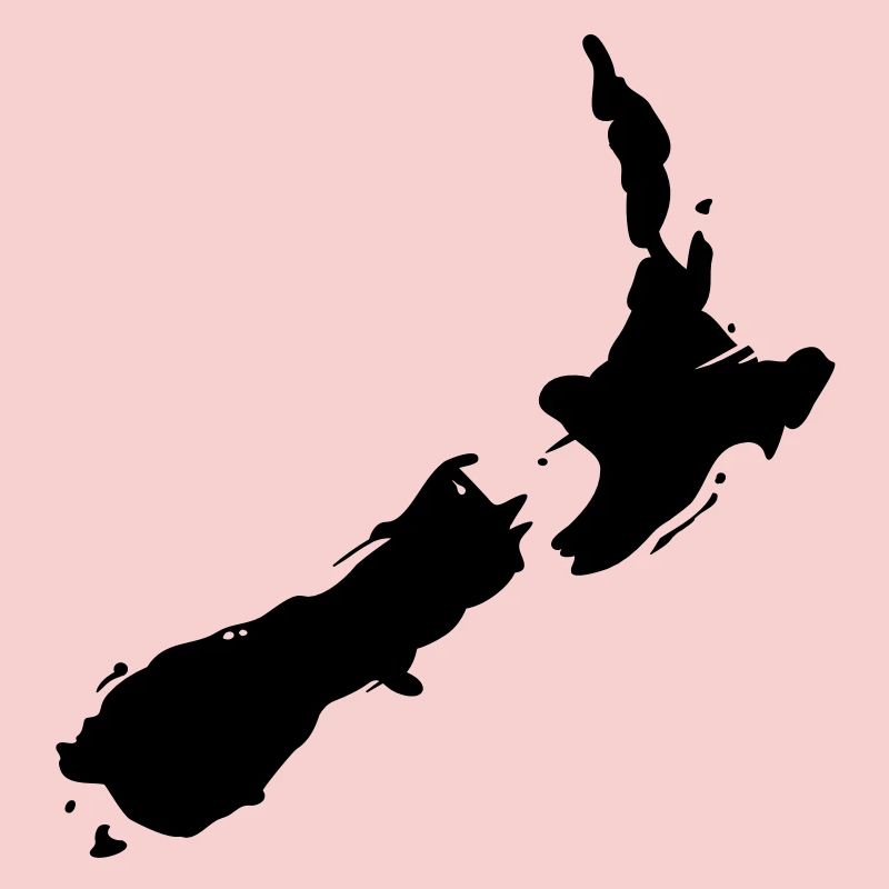 new zealand map