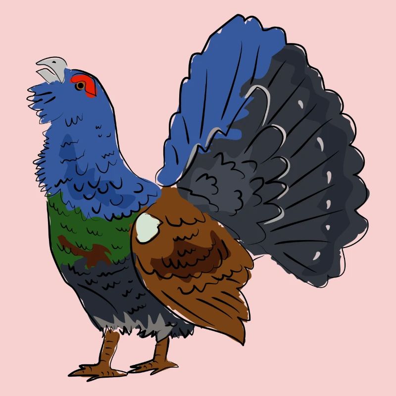 Coloured capercaillie with colourful plumage