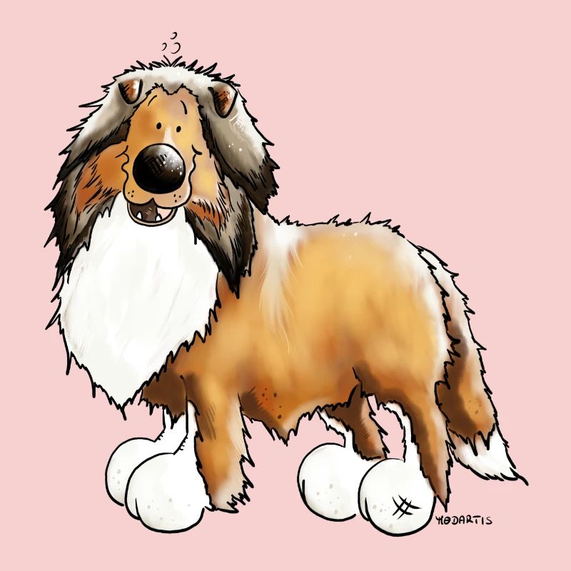 Collie - Rough Collie - Rough