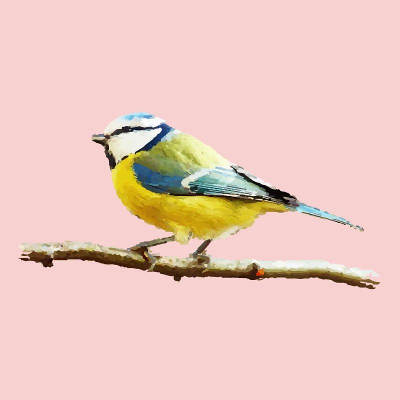Titmouse