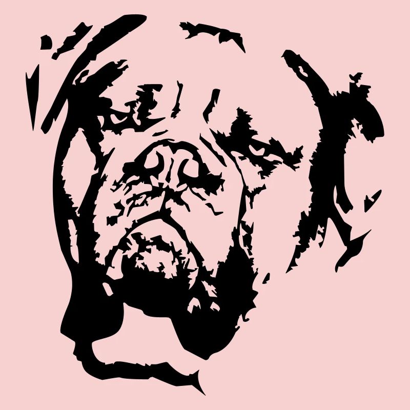 Tête Dogue de Bordeaux