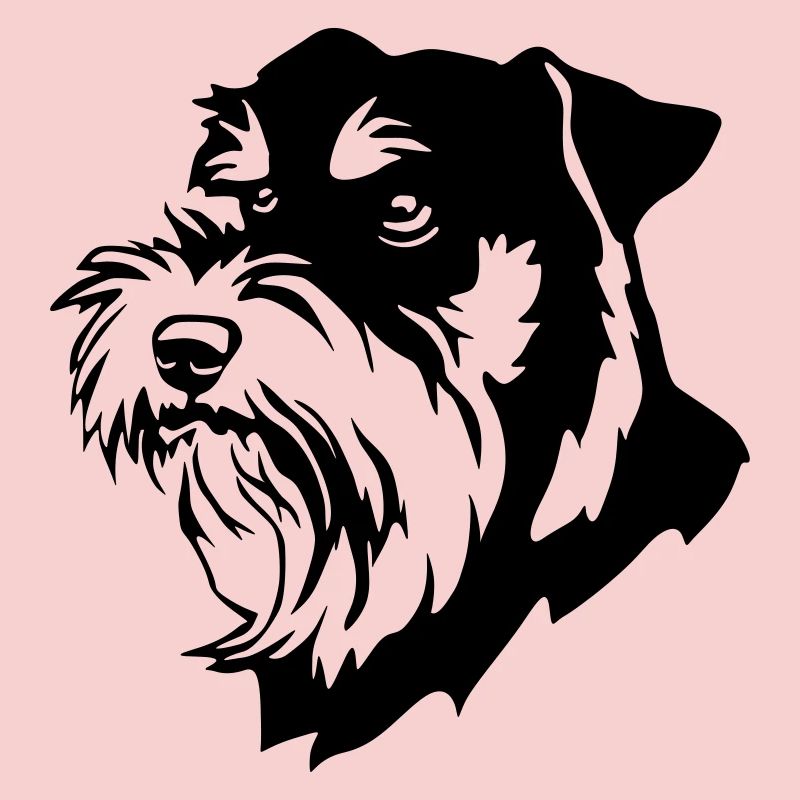 Schnauzer head