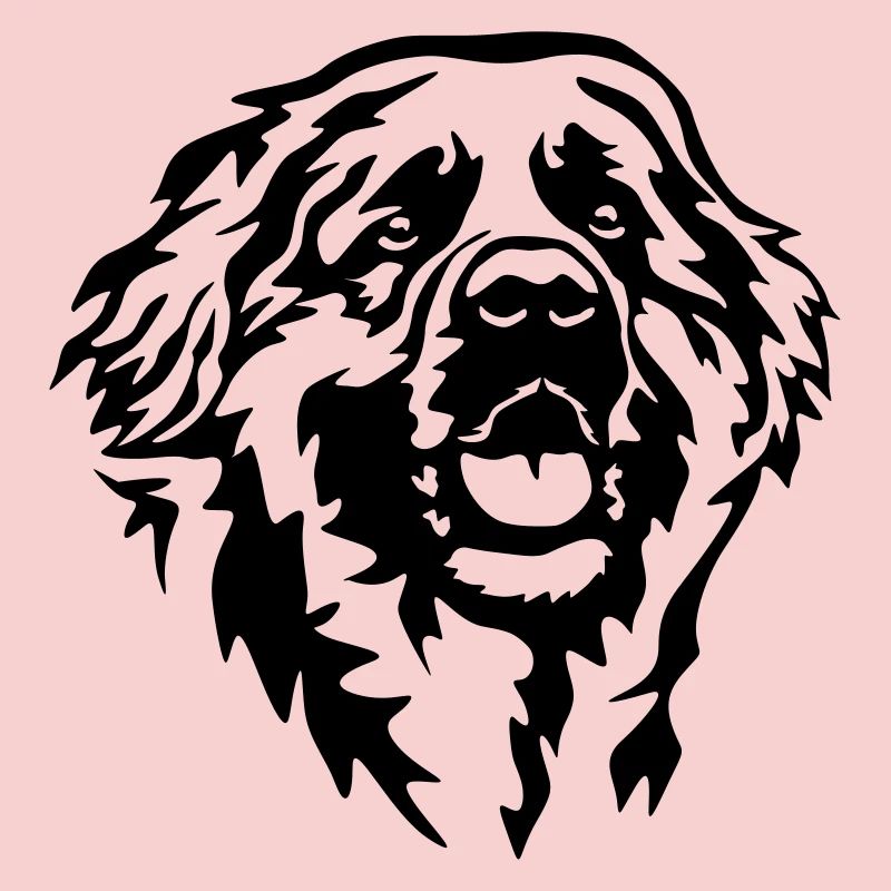 Leonberger head