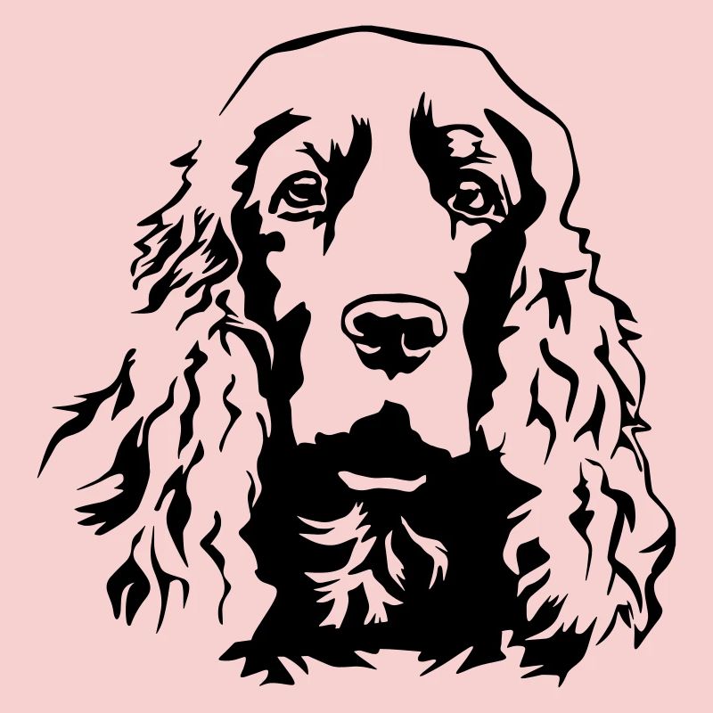 Cocker Spaniel head