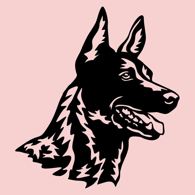 Hollandse Herder head