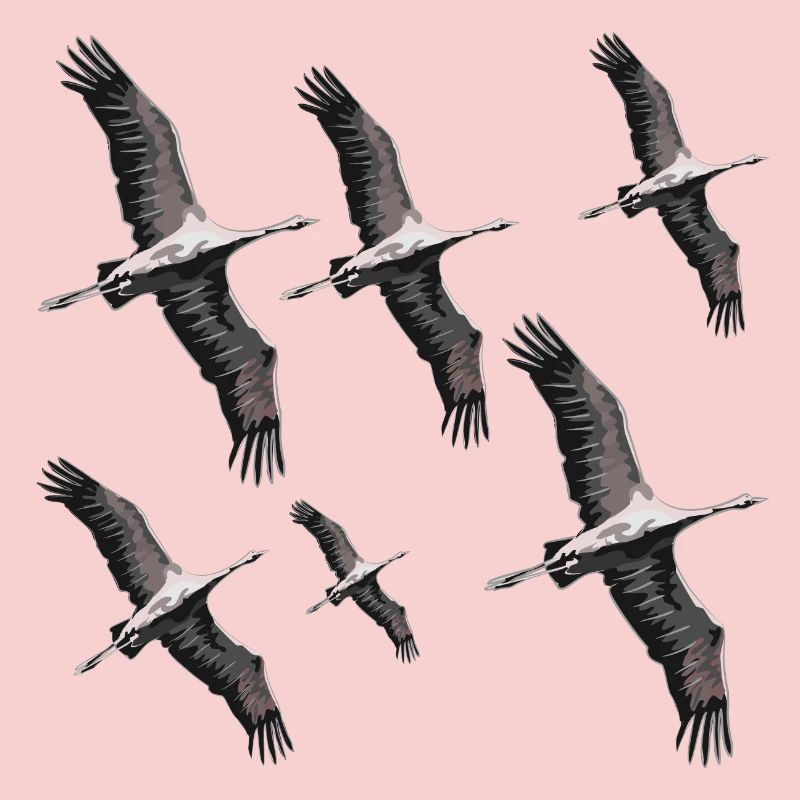 Bird migration cranes