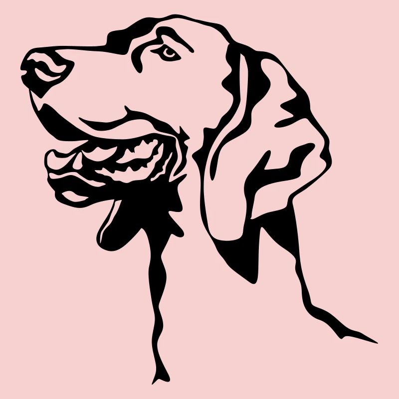 Weimaraner head