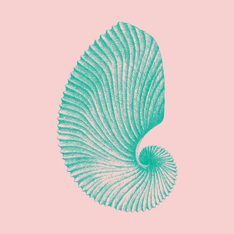Teal Abstract Snail Pattern