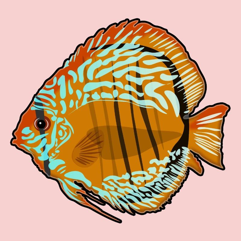Diskusfisch Aquarium Zeichnung