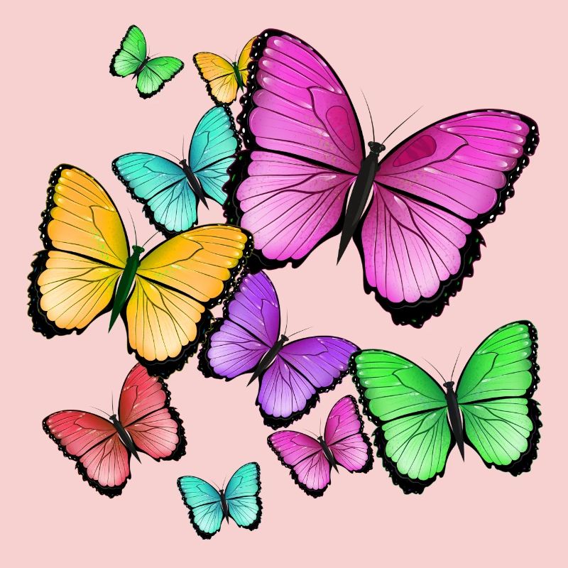 papillons de couleur sauvage