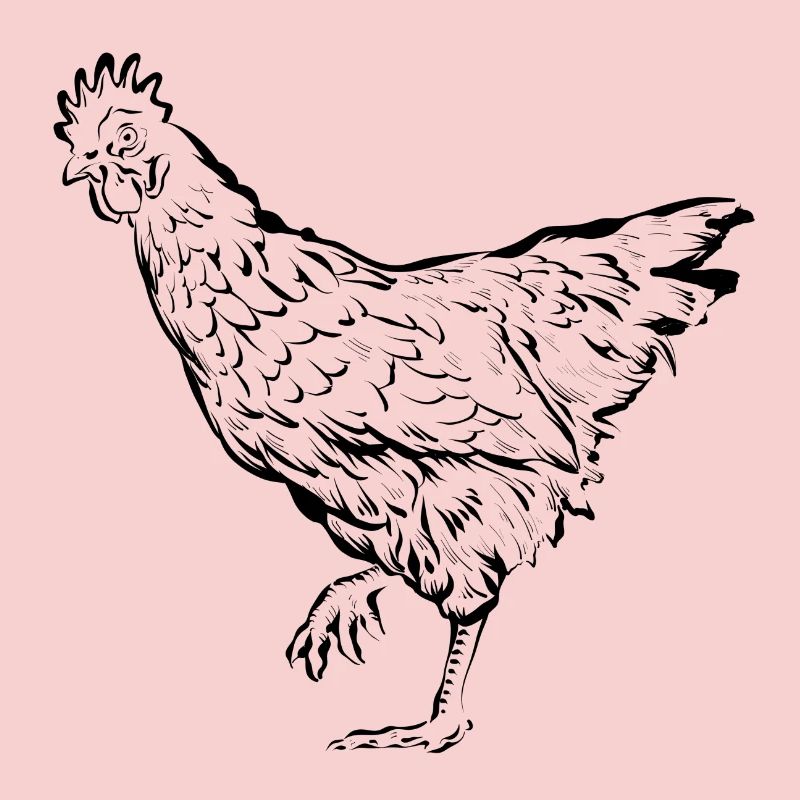 Poules poules
