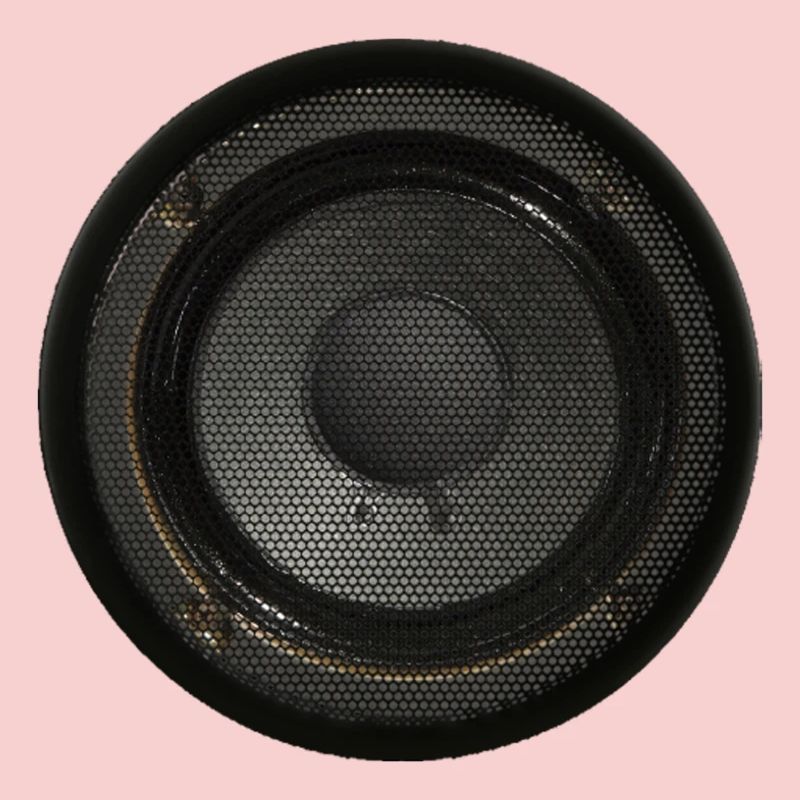 Speaker Box Speaker