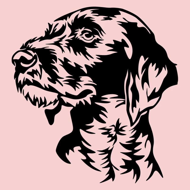 German Wirehaired Pointer head