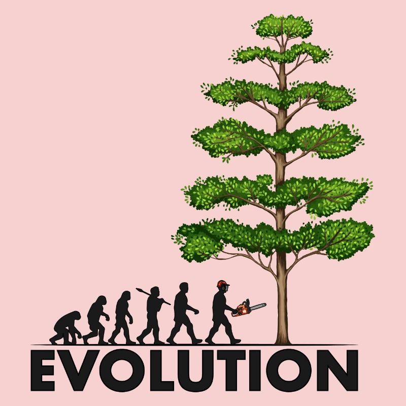 Tronçonneuse Evolution Grey Big Tree