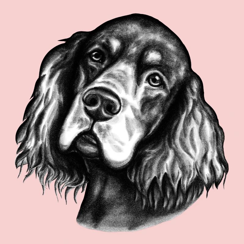 Dog's view
