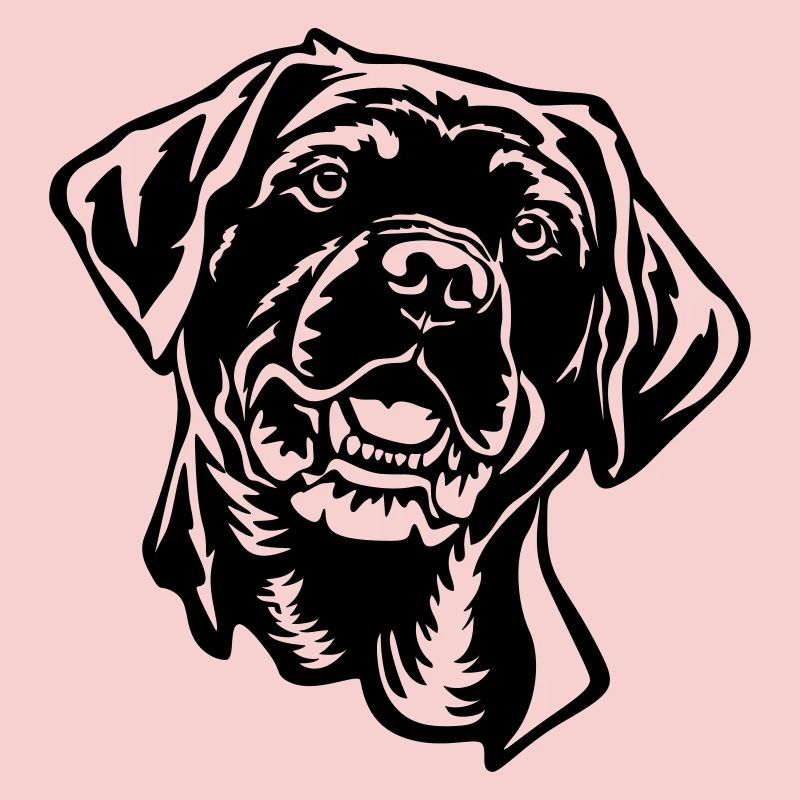 Labrador Head