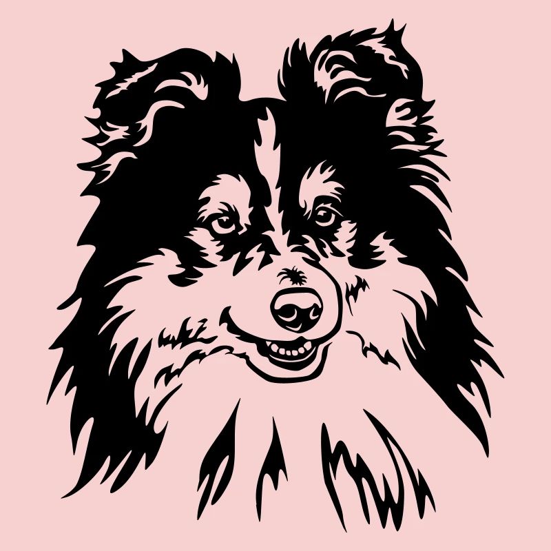 Sheltie Head