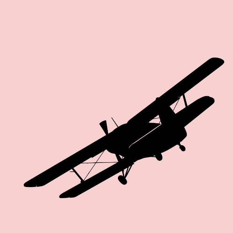 An-2