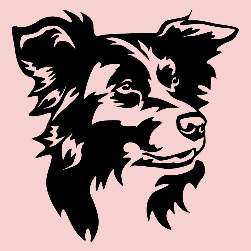 Tête de Border Collie