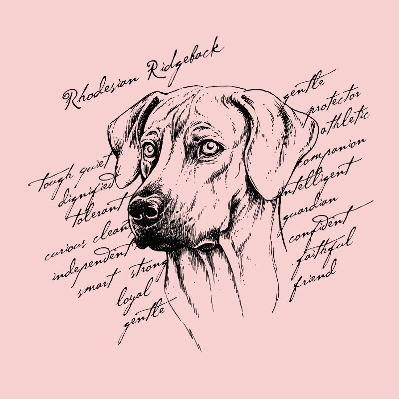 Rhodesian Ridgeback