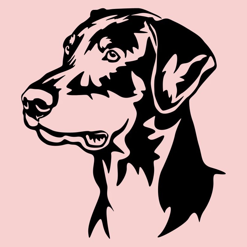 Tête de Doberman