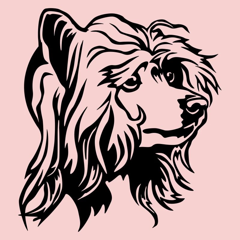 Chinese Crested Dog Head