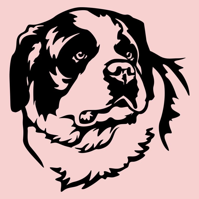 St. Bernard's Head
