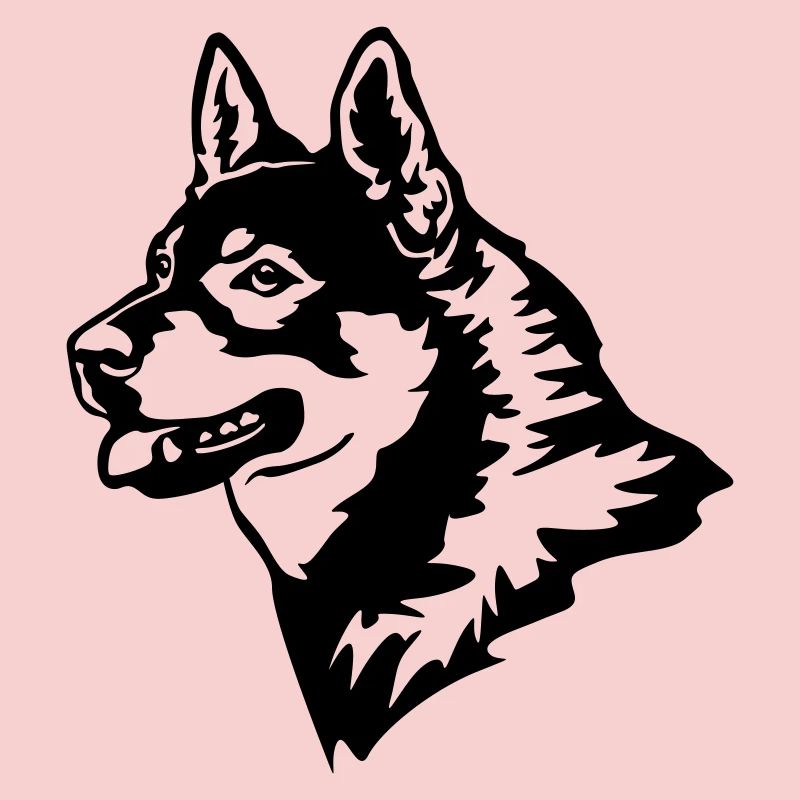 Jämthund head