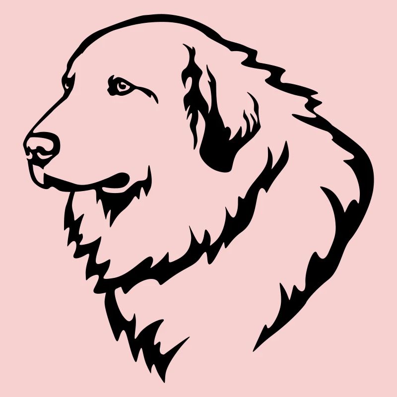Pyrenean Mountain Dog Head