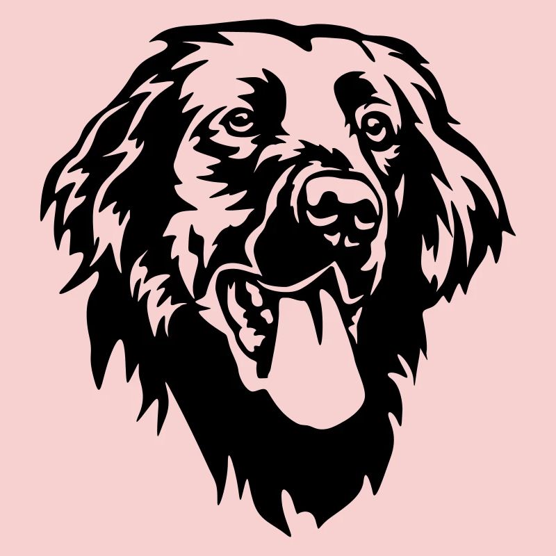 Flat-coated Retriever Head