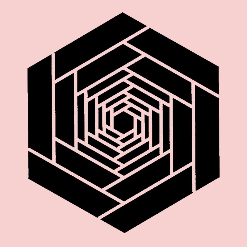 Hexagone infini noir fleur