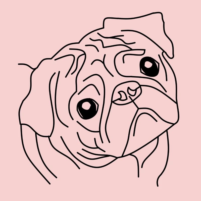 Pug Face - Le compagnon mignon