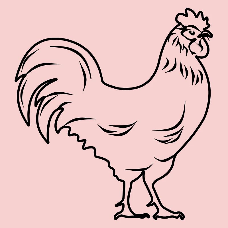 Coq transparent