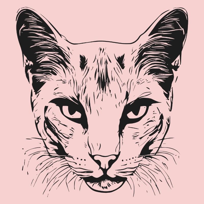 Chat 1