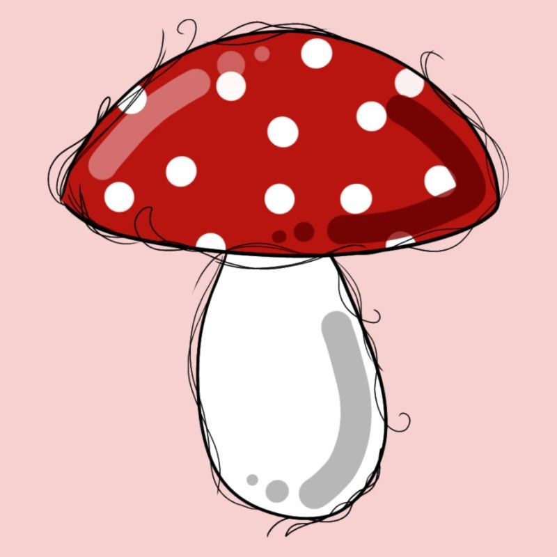 Fly agaric