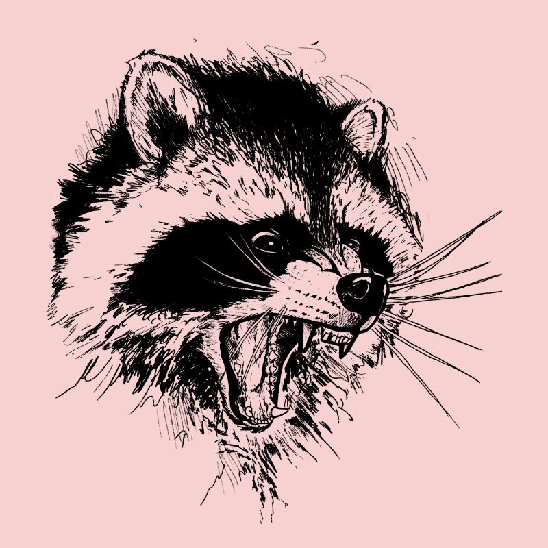 Waschbär