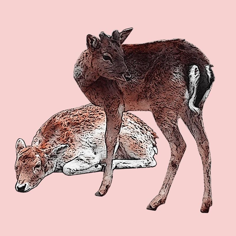 Hirschbabys, schenken Mädchen, niedlich