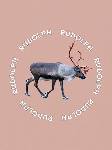 Rudolph