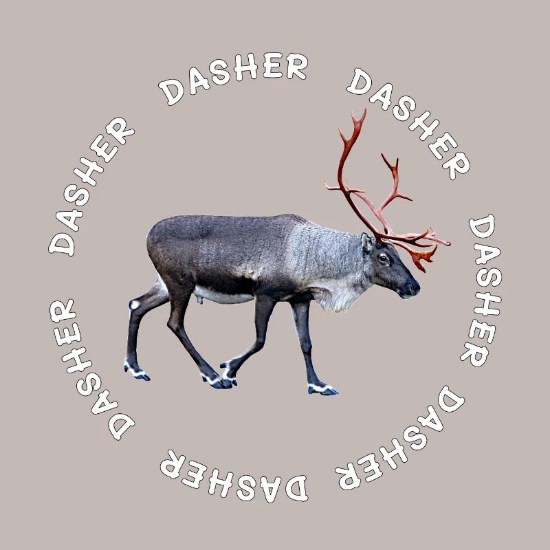 DASHER
