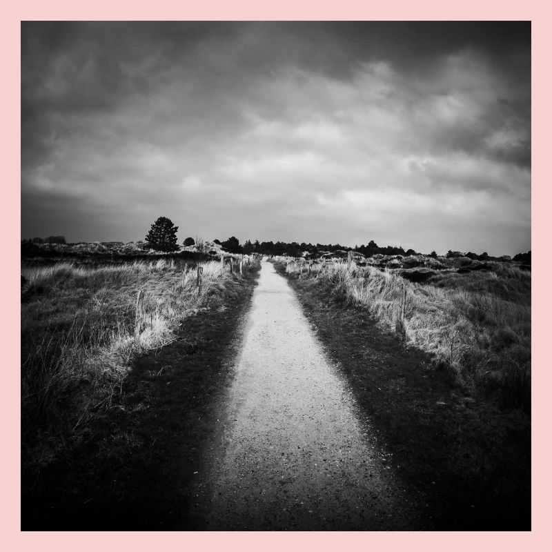 Path Path St. Peter Ording Dunes North Sea Poster